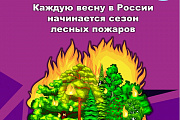 Каждую весну в России начинается сезон лесных пожаров