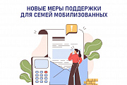 Правительство РФ разработало дополнительные меры поддержки для родных мобилизованных граждан